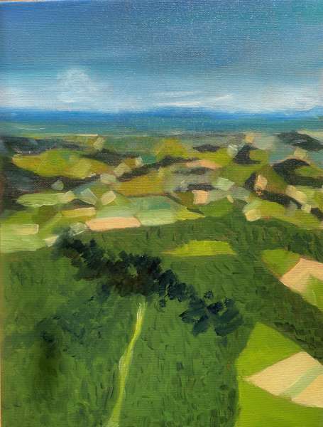 Dare to Fly 2, 40x30 cm, oil on canvas